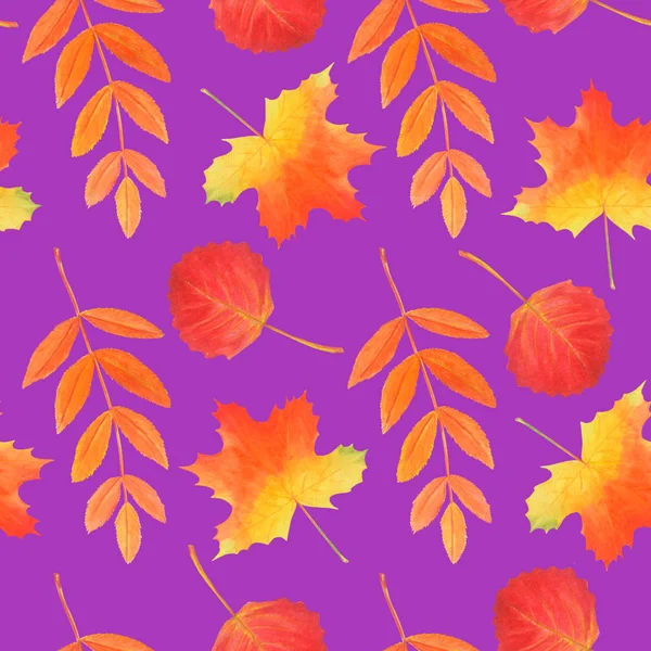 Nahtloses Muster aus gelben und roten Herbstblättern. — Stockfoto