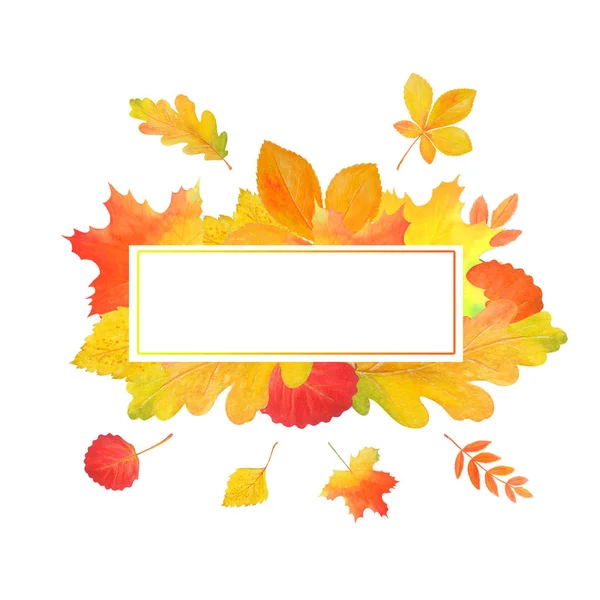 Presentation template on white background. Autumn leaves. — Stock Photo, Image