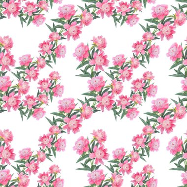 Beyaz izole güzel pembe şakayık ile Dikişsiz desen. 