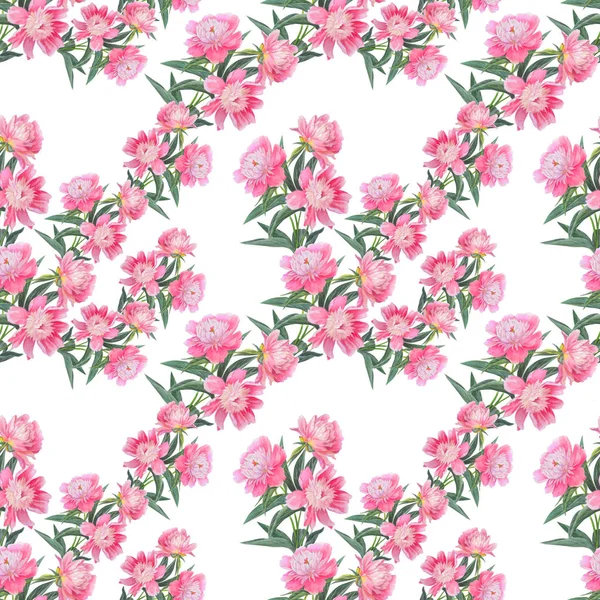 Nahtloses Muster mit schönen rosa Pfingstrosen isoliert auf weiß. — Stockfoto