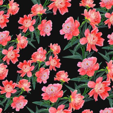 Tekstil, ambalaj, ambalaj için şakayık ile siyah kontrast arka plan.