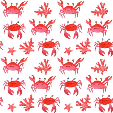 Yengeçler, denizyıldızları ve beyaz arka planda kumsal çakılları..