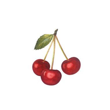 Beyaz bir arka plan üzerinde izole taze kiraz.