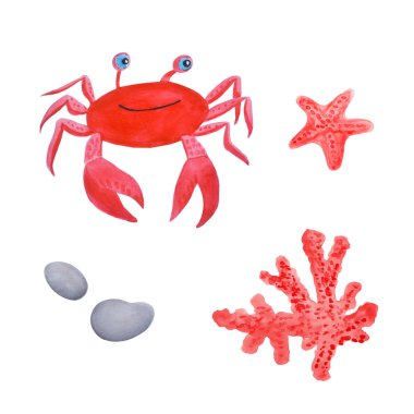 Neşeli yengeç, mercan, denizyıldızı ve kumsal çakıl taşları