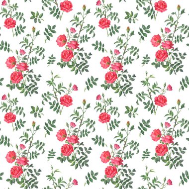 Kırmızı bir gülün dalından güzel parlak desen 