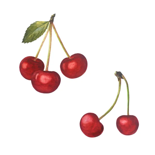 Fresh cherry isolated on a white background. — Stock Photo, Image