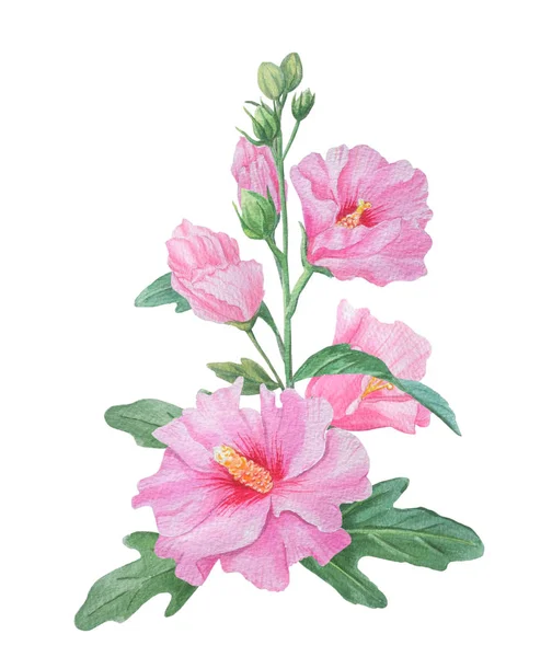 Belas flores de cor rosa em um ramo Isolado em um branco — Fotografia de Stock