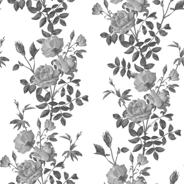 Belo padrão monocromático de ramos de rosas — Fotografia de Stock