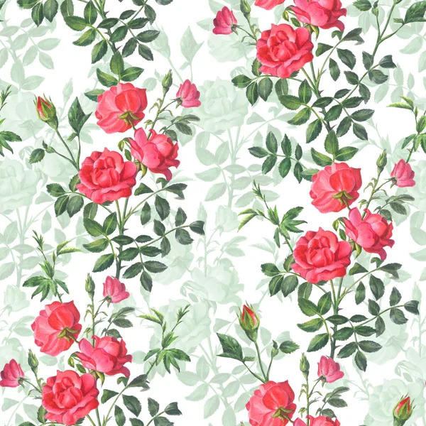 Schönes helles Muster aus einem Zweig einer roten Rose mit Knospen a — Stockfoto