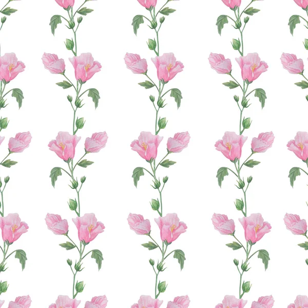 树枝上粉红色花的无缝图案。白色背景. — 图库照片