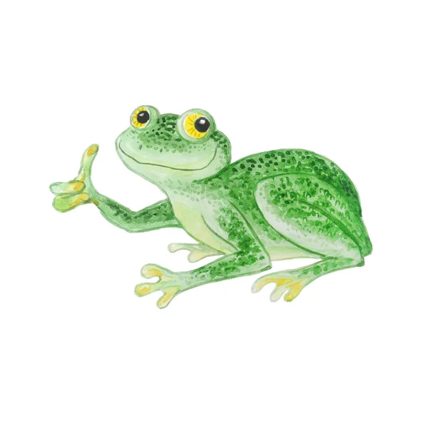 Green frog isolated on a white background. — Stock Photo, Image