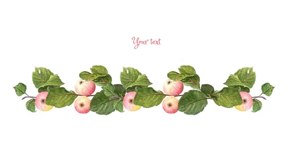 Filial av äppelträd med frukter. Originalvinjett för inskrift — Stockfoto