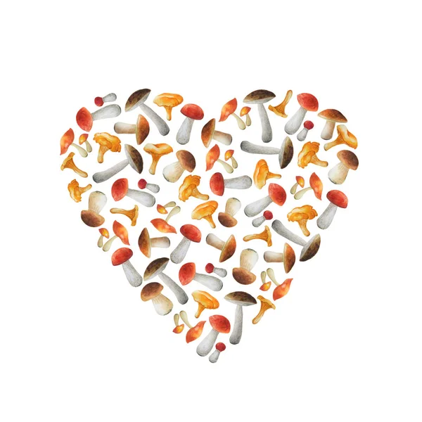 Srdce z jedlých hub na pastelovém pozadí. — Stock fotografie