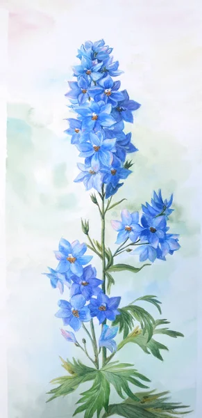 Larkspur Abelha Azul Com Botões Folhas Contexto Doce Bela Ilustração — Fotografia de Stock