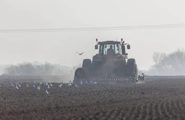 Traktör toprağı sürüyor.