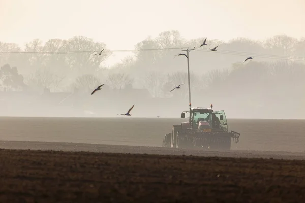 Traktör toprağı sürüyor.