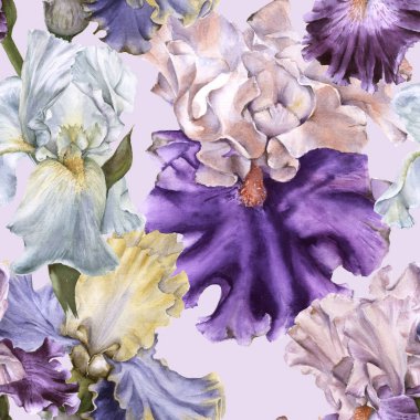 Iris ile arka plan. Seamless modeli. 