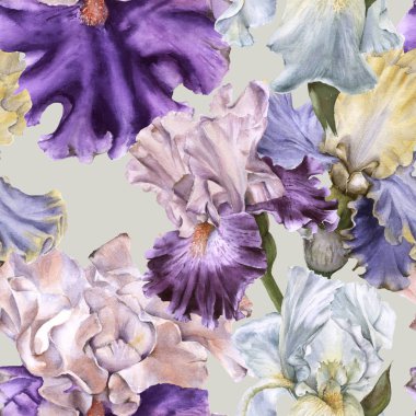 Iris ile arka plan. Seamless modeli. 
