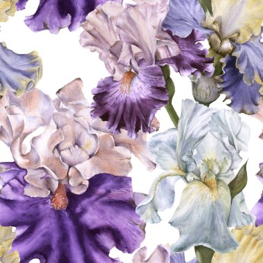 Iris ile arka plan. Seamless modeli. 