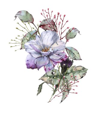 Gül yaprakları bir buket ile. Beyaz arka plan üzerinde izole. 