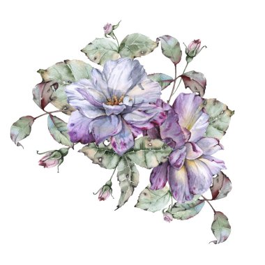 Gül yaprakları bir buket ile. Beyaz arka plan üzerinde izole. 