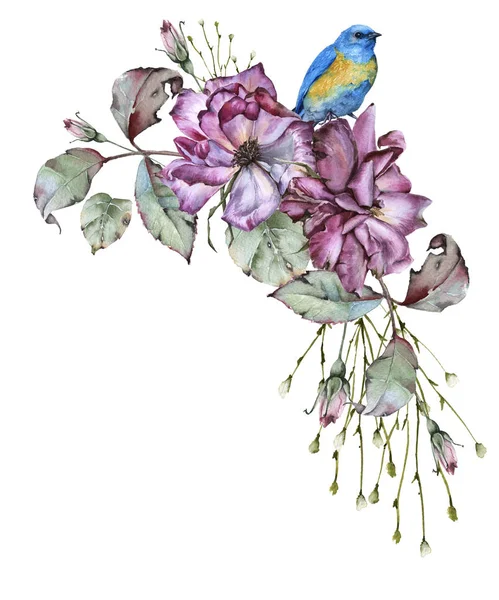 Rosen mit Blättern und einem Vogel. isoliert auf weißem Hintergrund. — Stockfoto