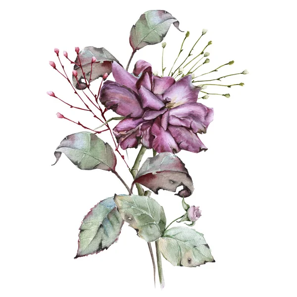 Rose mit Blättern in einem Strauß. isoliert auf weißem Hintergrund. — Stockfoto