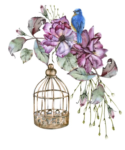 Rosa con hojas, un pájaro y una jaula. aislado sobre fondo blanco . — Foto de Stock