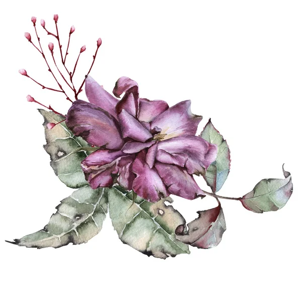 Rose mit Blättern in einem Strauß. isoliert auf weißem Hintergrund. — Stockfoto