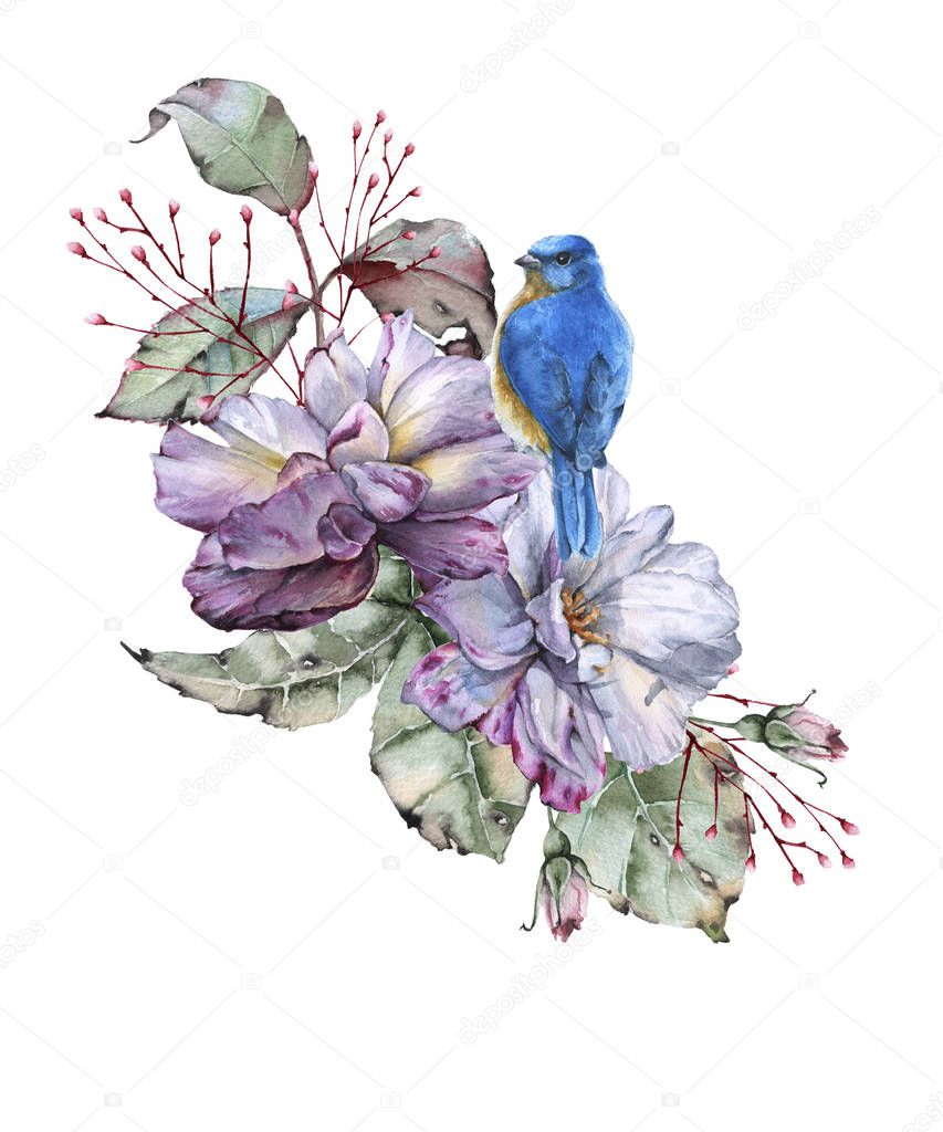 Roses with leaves and a bird. isolated on white background. 