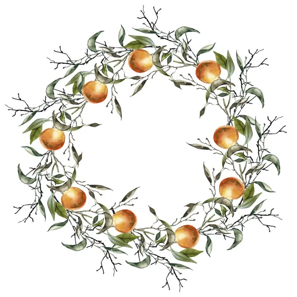 Corona de una rama con naranjas. Aislado sobre fondo blanco . —  Fotos de Stock