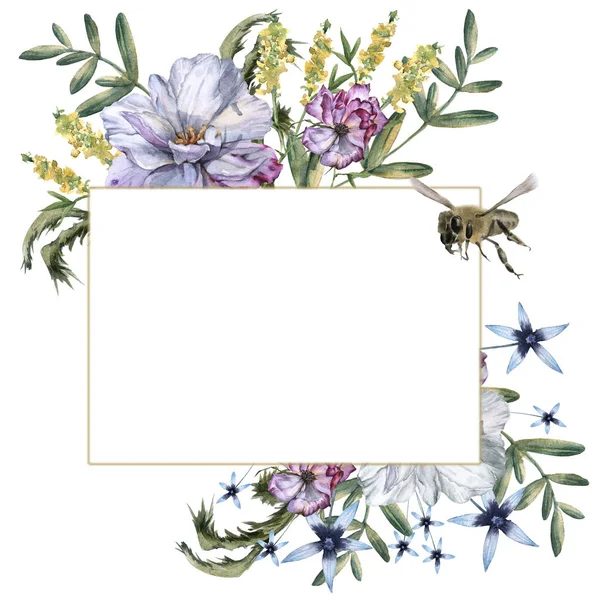 Kompozycja róże z dzikich kwiatów i pszczoły. Na białym tle. — Zdjęcie stockowe