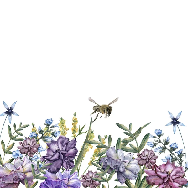 องค์ประกอบของดอกกุหลาบที่มีดอกไม้ป่าและผึ้ง ถูกแยกจากพื้นหลังสีขาว . — ภาพถ่ายสต็อก