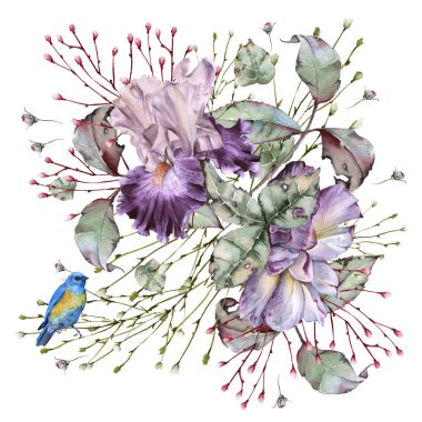 Iris çiçeği. Beyaz arka plan üzerinde izole. 