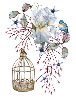 Iris çiçeği. Beyaz arka plan üzerinde izole. 