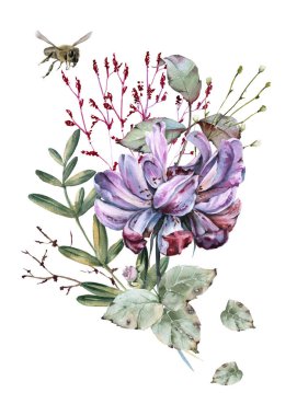 Kompozisyon gül kır çiçekleri ve arılar. Beyaz arka plan üzerinde izole. 