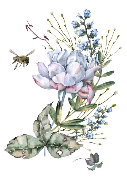องค์ประกอบของดอกกุหลาบที่มีดอกไม้ป่าและผึ้ง ถูกแยกจากพื้นหลังสีขาว . — ภาพถ่ายสต็อก