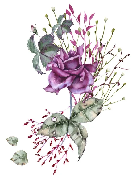 Složení růží s divokými květy. Izolované na bílém pozadí. — Stock fotografie