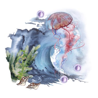 deniz denizanası. Beyaz arka plan üzerinde izole. 