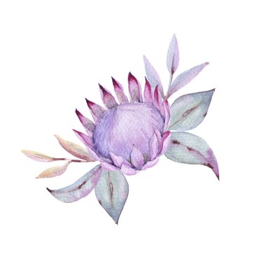 Böyle bir demet gül yaprakları ile akan. Beyaz arka plan üzerinde izole. 