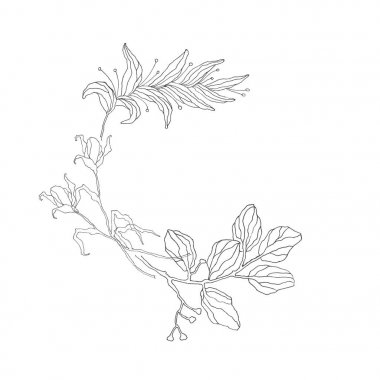 Muhteşem renk desen. Beyaz arka plan üzerinde izole.