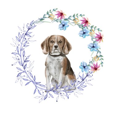 Çerçevedeki küçük bir köpeğin portresi. Beyaz arka planda yalıtılmış. 