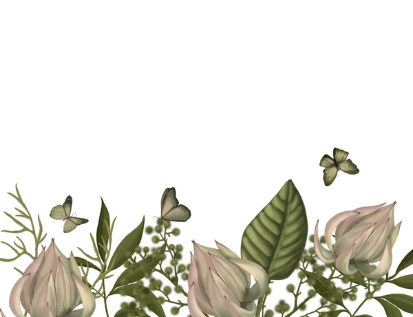 Blommig bakgrund. Isolerad på vit bakgrund. — Stockfoto