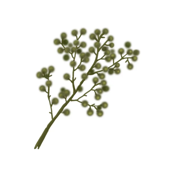 フィギュア花の植物。白い背景に隔離. — ストック写真