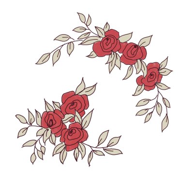 Gül. Beyaz arka planda yalıtılmış. 