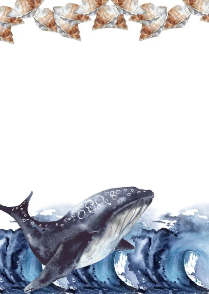 Rama z wieloryba morskiego. Izolowane na białym tle. — Zdjęcie stockowe