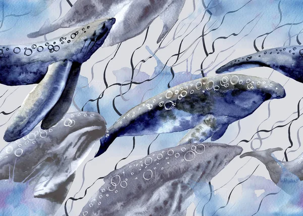 Hintergrund mit Walen. nahtloses Muster. — Stockfoto