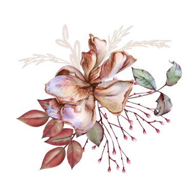 Güllerin kompozisyonu. Beyaz arkaplanda izole.