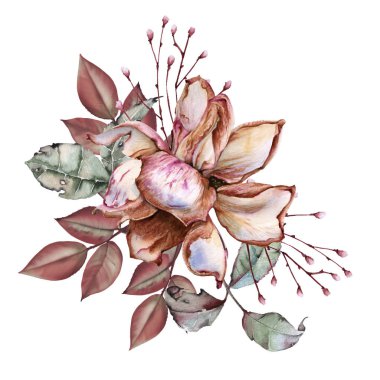 Gül çiçeği. Beyaz arkaplanda izole.