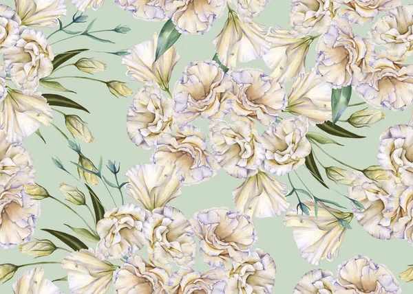 白いバラの背景。ユースタシアシームレスなパターン. — ストック写真